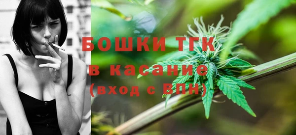 ГАЛЛЮЦИНОГЕННЫЕ ГРИБЫ Белокуриха