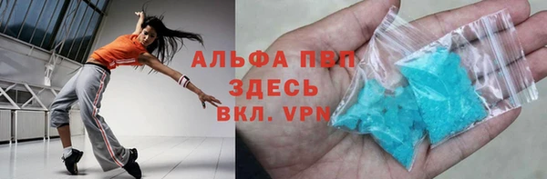 ГАЛЛЮЦИНОГЕННЫЕ ГРИБЫ Белокуриха