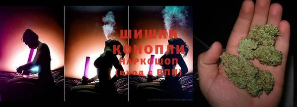 ГАЛЛЮЦИНОГЕННЫЕ ГРИБЫ Белокуриха