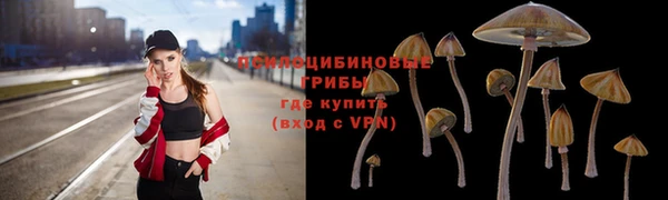 ГАЛЛЮЦИНОГЕННЫЕ ГРИБЫ Белокуриха
