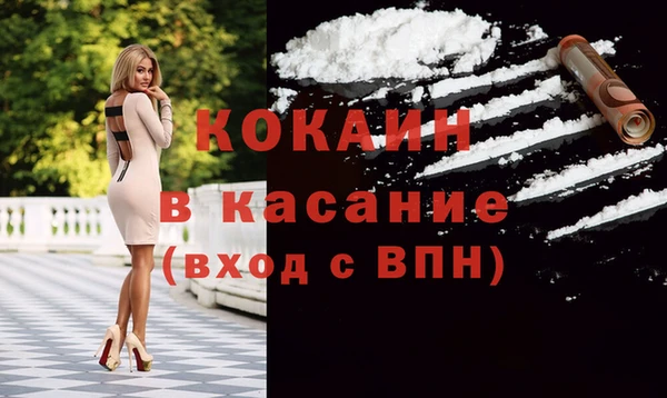 ГАЛЛЮЦИНОГЕННЫЕ ГРИБЫ Белокуриха