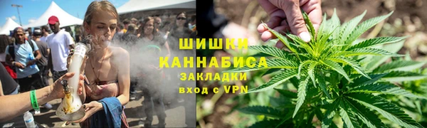 ГАЛЛЮЦИНОГЕННЫЕ ГРИБЫ Белокуриха