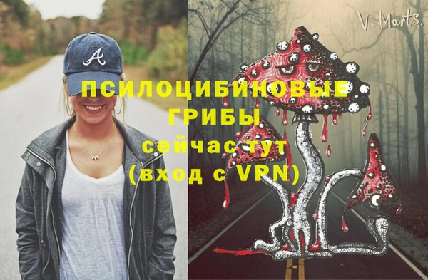 твердый Беломорск