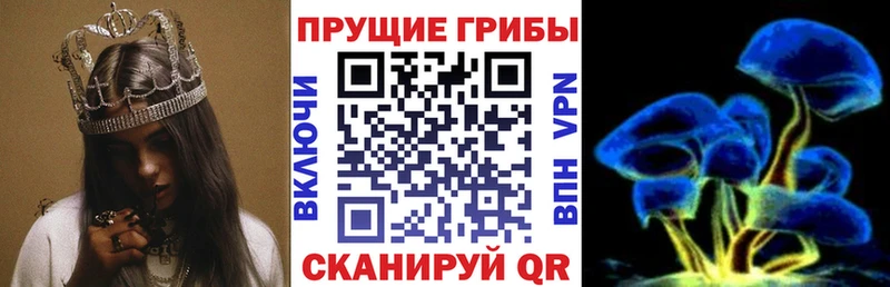 что такое наркотик  blacksprut зеркало  Галлюциногенные грибы Psilocybe  это Telegram  Волчанск 